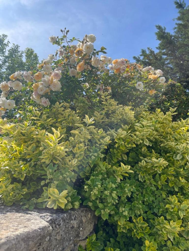 La Borie En Provence Gordes Exterior foto