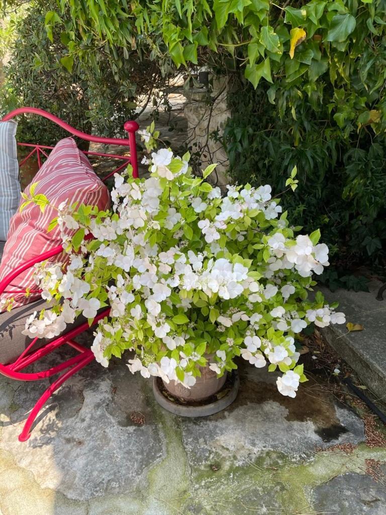 La Borie En Provence Gordes Exterior foto